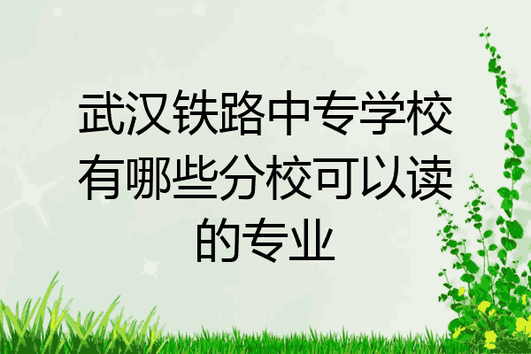 武汉铁路中专学校有哪些分校可以读的专业