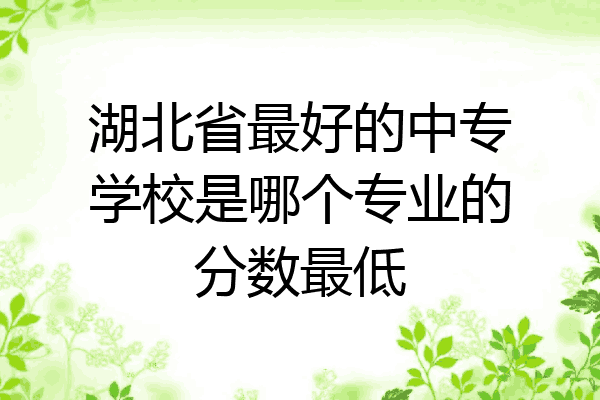 湖北省最好的中专学校是哪个专业的分数最低