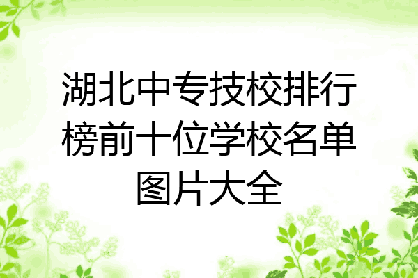 湖北中专技校排行榜前十位学校名单图片大全
