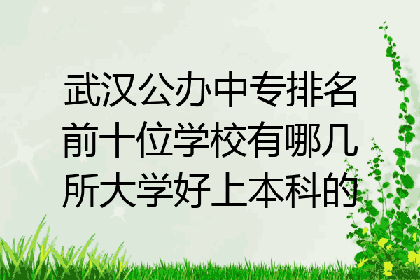武汉公办中专排名前十位学校有哪几所大学好上本科的