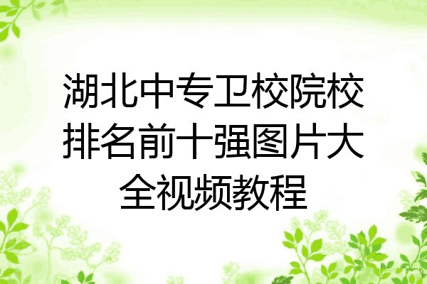 湖北中专卫校院校排名前十强图片大全视频教程