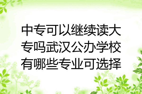 中专可以继续读大专吗武汉公办学校有哪些专业可选择