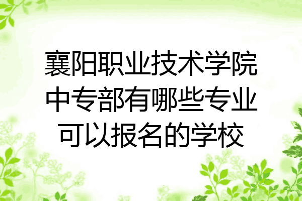 襄阳职业技术学院中专部有哪些专业可以报名的学校