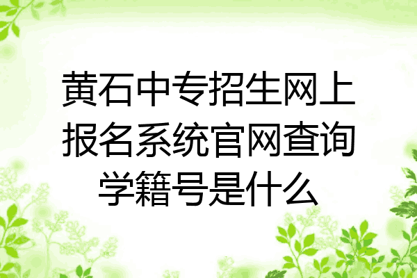 黄石中专招生网上报名系统官网查询学籍号是什么