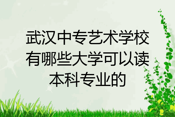 武汉中专艺术学校有哪些大学可以读本科专业的
