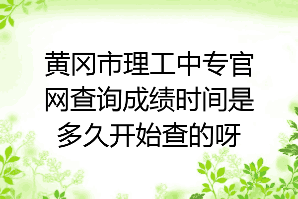 黄冈市理工中专官网查询成绩时间是多久开始查的呀