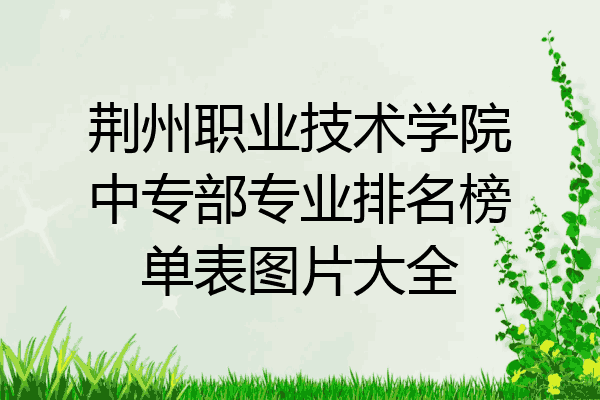 荆州职业技术学院中专部专业排名榜单表图片大全