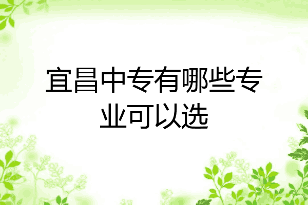 宜昌中专有哪些专业可以选