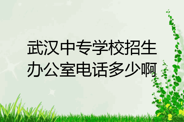 武汉中专学校招生办公室电话多少啊