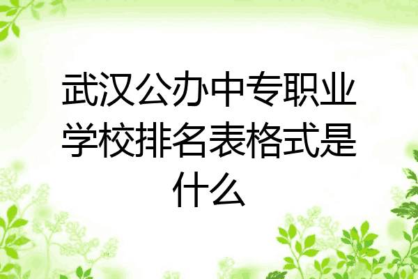 武汉公办中专职业学校排名表格式是什么
