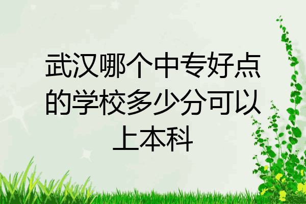 武汉哪个中专好点的学校多少分可以上本科