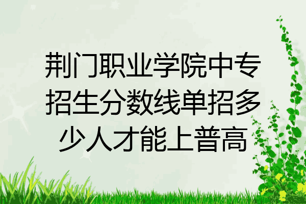 荆门职业学院中专招生分数线单招多少人才能上普高