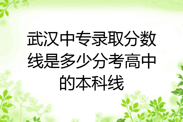 武汉中专录取分数线是多少分考高中的本科线