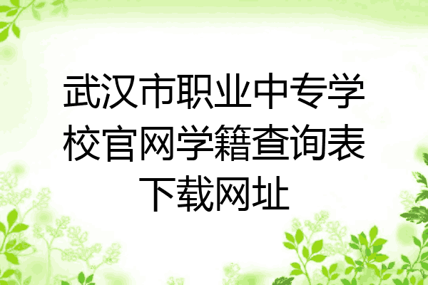 武汉市职业中专学校官网学籍查询表下载网址