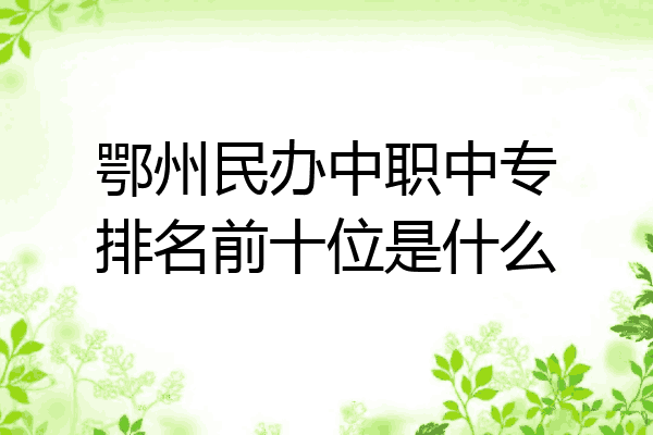 鄂州民办中职中专排名前十位是什么