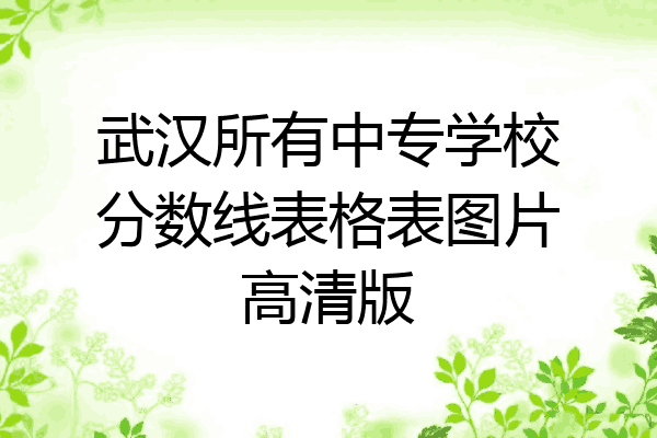 武汉所有中专学校分数线表格表图片高清版