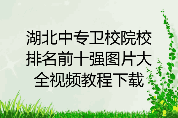 湖北中专卫校院校排名前十强图片大全视频教程下载