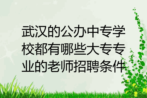 武汉的公办中专学校都有哪些大专专业的老师招聘条件