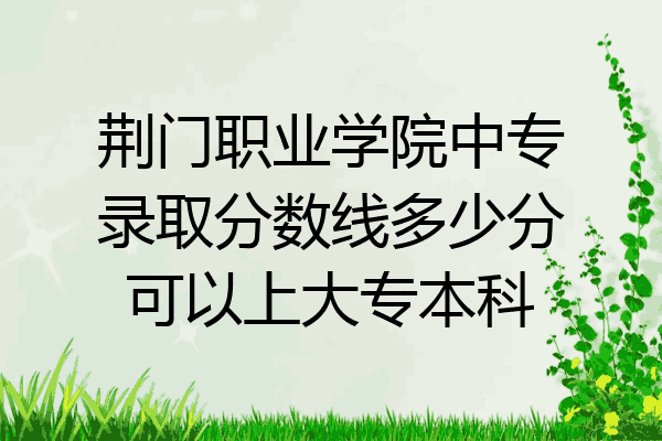 荆门职业学院中专录取分数线多少分可以上大专本科