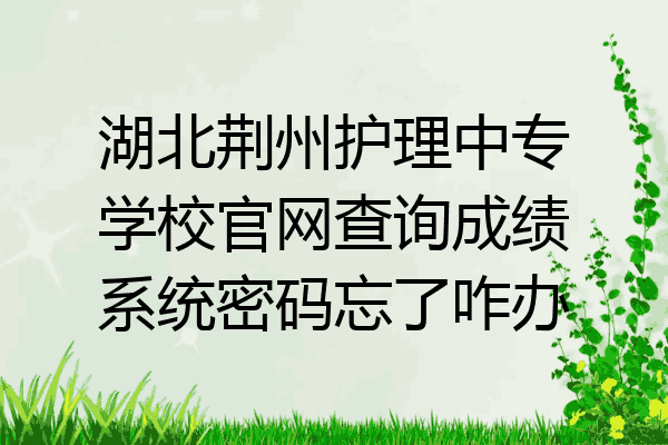 湖北荆州护理中专学校官网查询成绩系统密码忘了咋办
