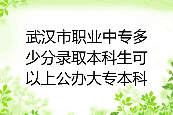 武汉市职业中专多少分录取本科生可以上公办大专本科