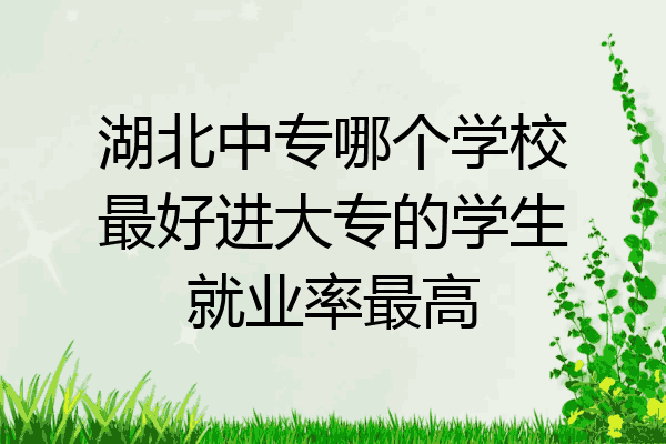 湖北中专哪个学校最好进大专的学生就业率最高