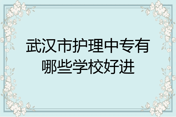 武汉市护理中专有哪些学校好进
