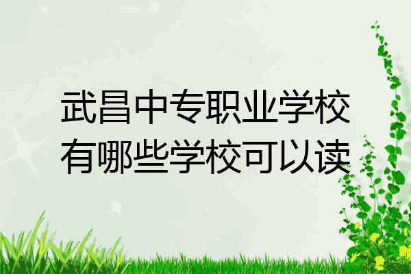 武昌中专职业学校有哪些学校可以读