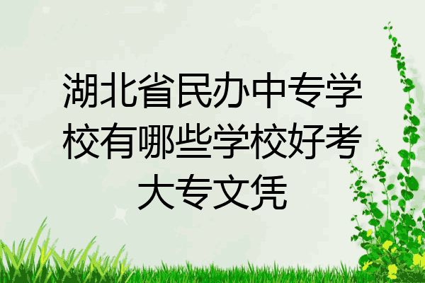 湖北省民办中专学校有哪些学校好考大专文凭