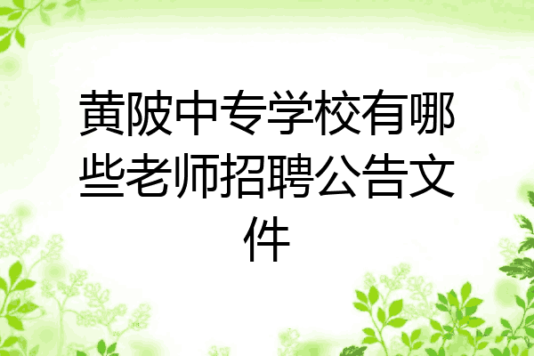 黄陂中专学校有哪些老师招聘公告文件