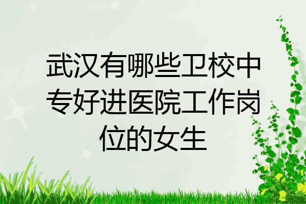 武汉有哪些卫校中专好进医院工作岗位的女生