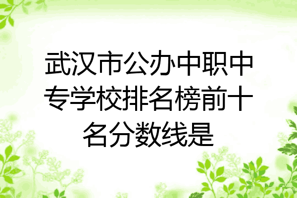 武汉市公办中职中专学校排名榜前十名分数线是