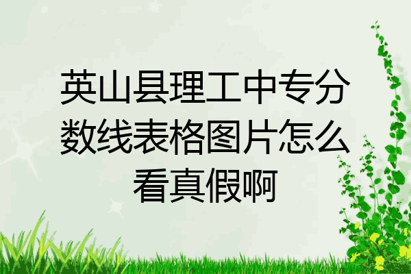 英山县理工中专分数线表格图片怎么看真假啊