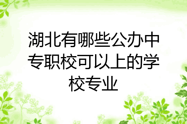 湖北有哪些公办中专职校可以上的学校专业