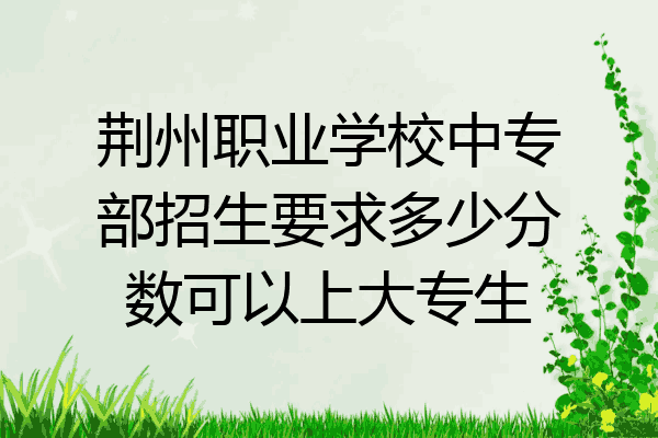 荆州职业学校中专部招生要求多少分数可以上大专生