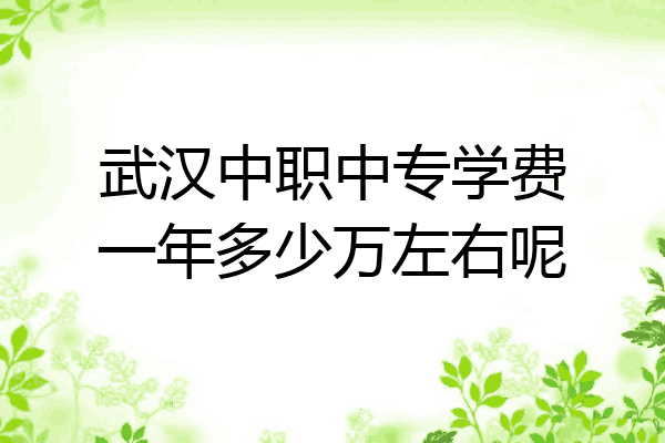 武汉中职中专学费一年多少万左右呢