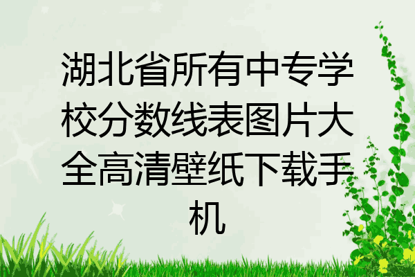 湖北省所有中专学校分数线表图片大全高清壁纸下载手机
