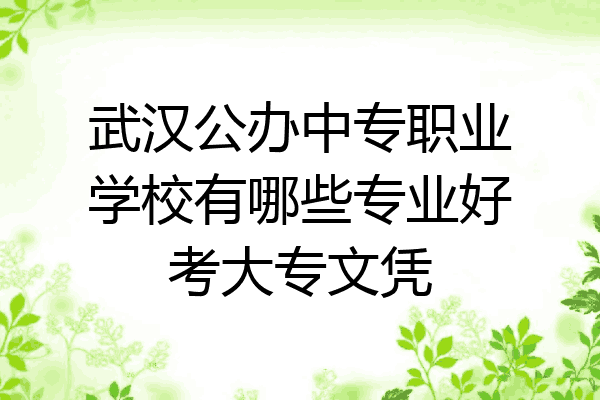 武汉公办中专职业学校有哪些专业好考大专文凭