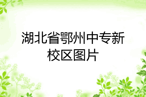 湖北省鄂州中专新校区图片