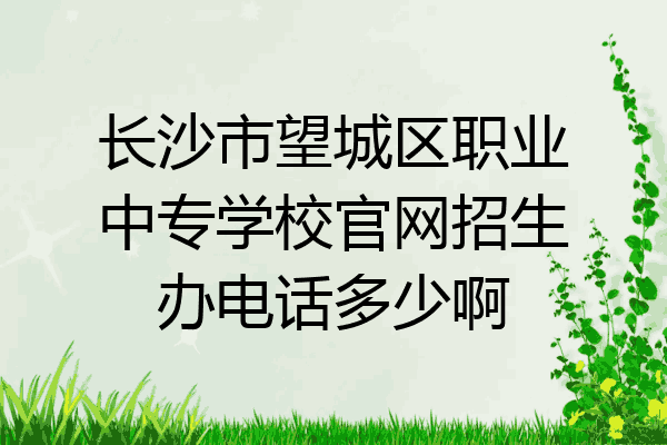 长沙市望城区职业中专学校官网招生办电话多少啊