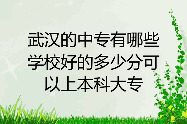 武汉的中专有哪些学校好的多少分可以上本科大专
