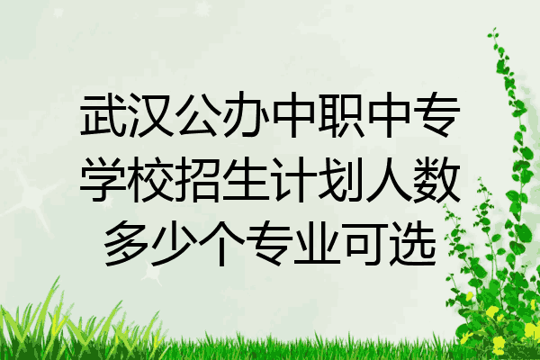 武汉公办中职中专学校招生计划人数多少个专业可选