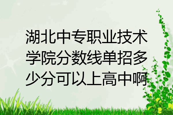 湖北中专职业技术学院分数线单招多少分可以上高中啊