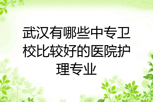 武汉有哪些中专卫校比较好的医院护理专业