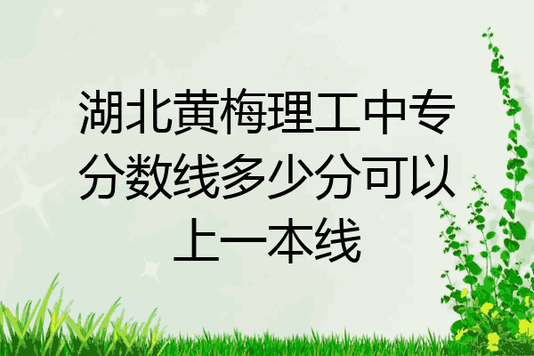 湖北黄梅理工中专分数线多少分可以上一本线