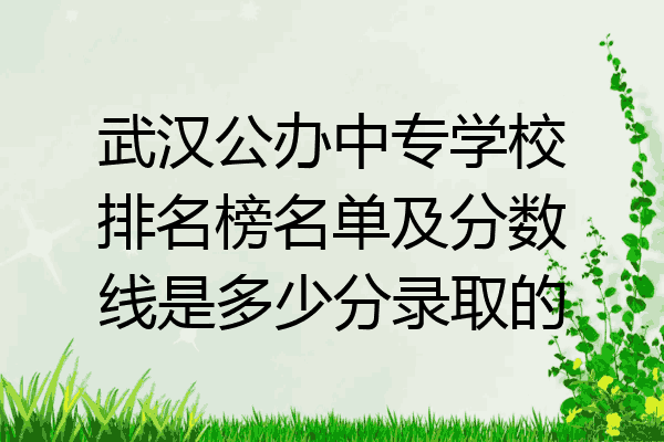 武汉公办中专学校排名榜名单及分数线是多少分录取的
