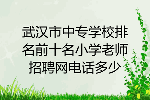 武汉市中专学校排名前十名小学老师招聘网电话多少