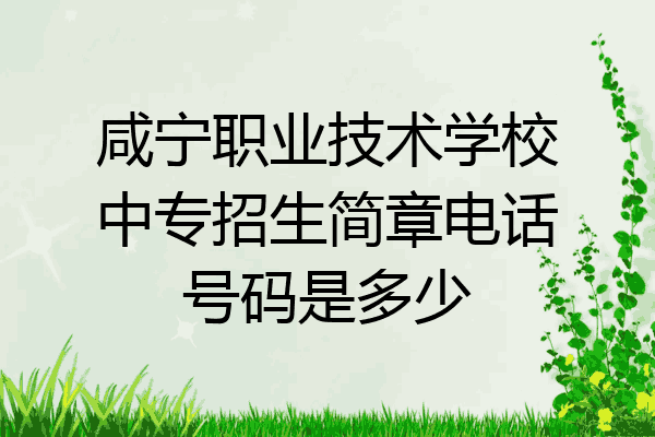 咸宁职业技术学校中专招生简章电话号码是多少