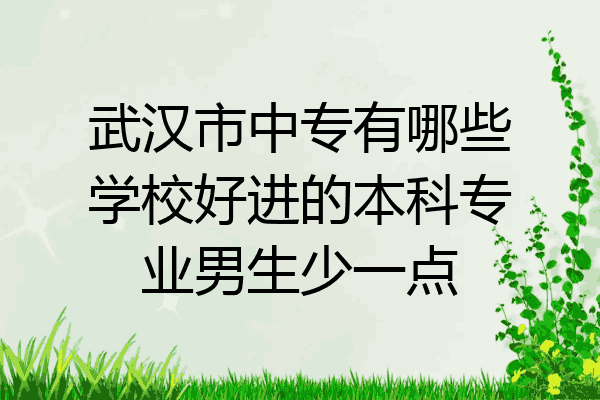 武汉市中专有哪些学校好进的本科专业男生少一点
