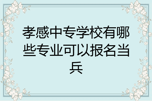 孝感中专学校有哪些专业可以报名当兵